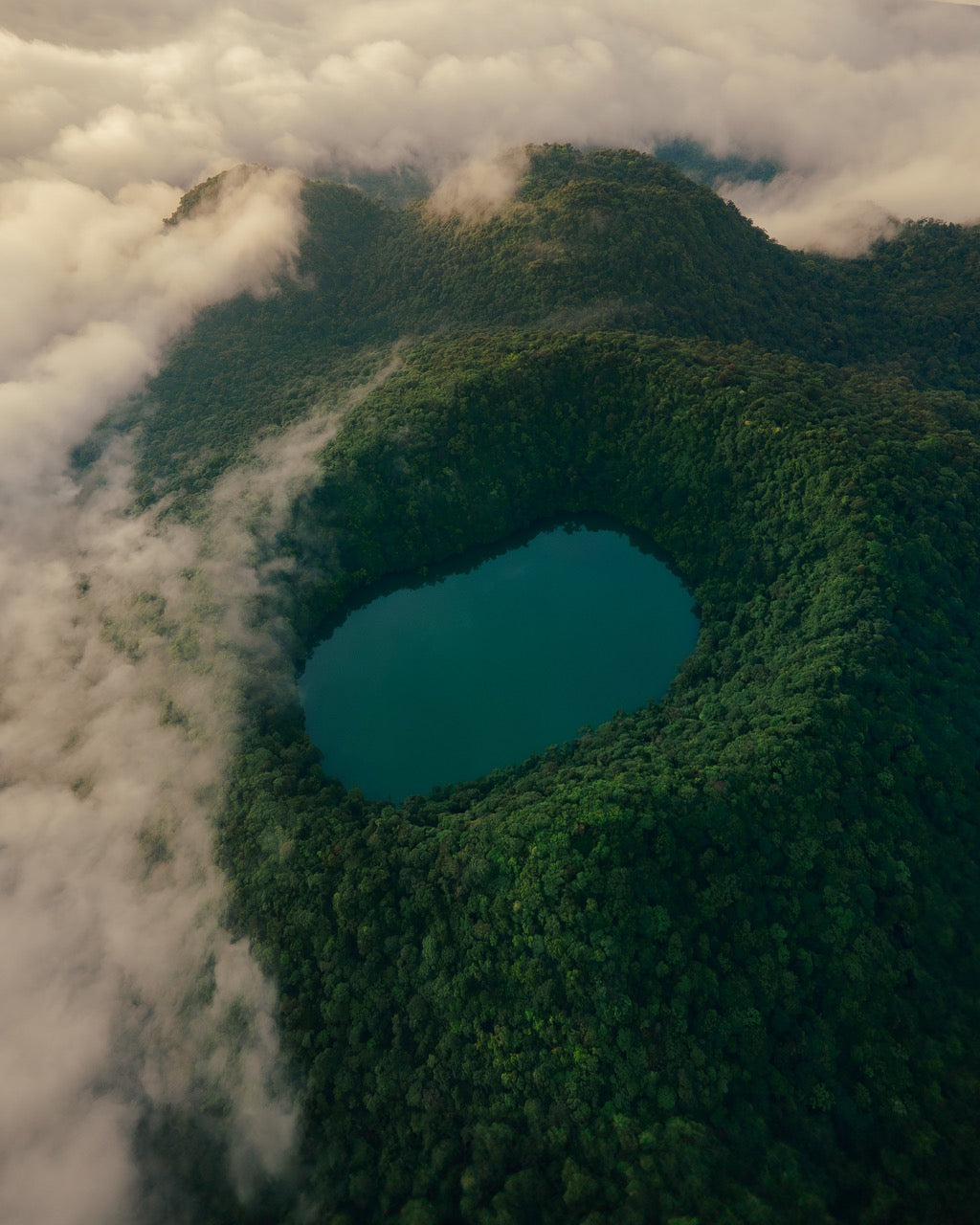 Free Human — naturaleza 2