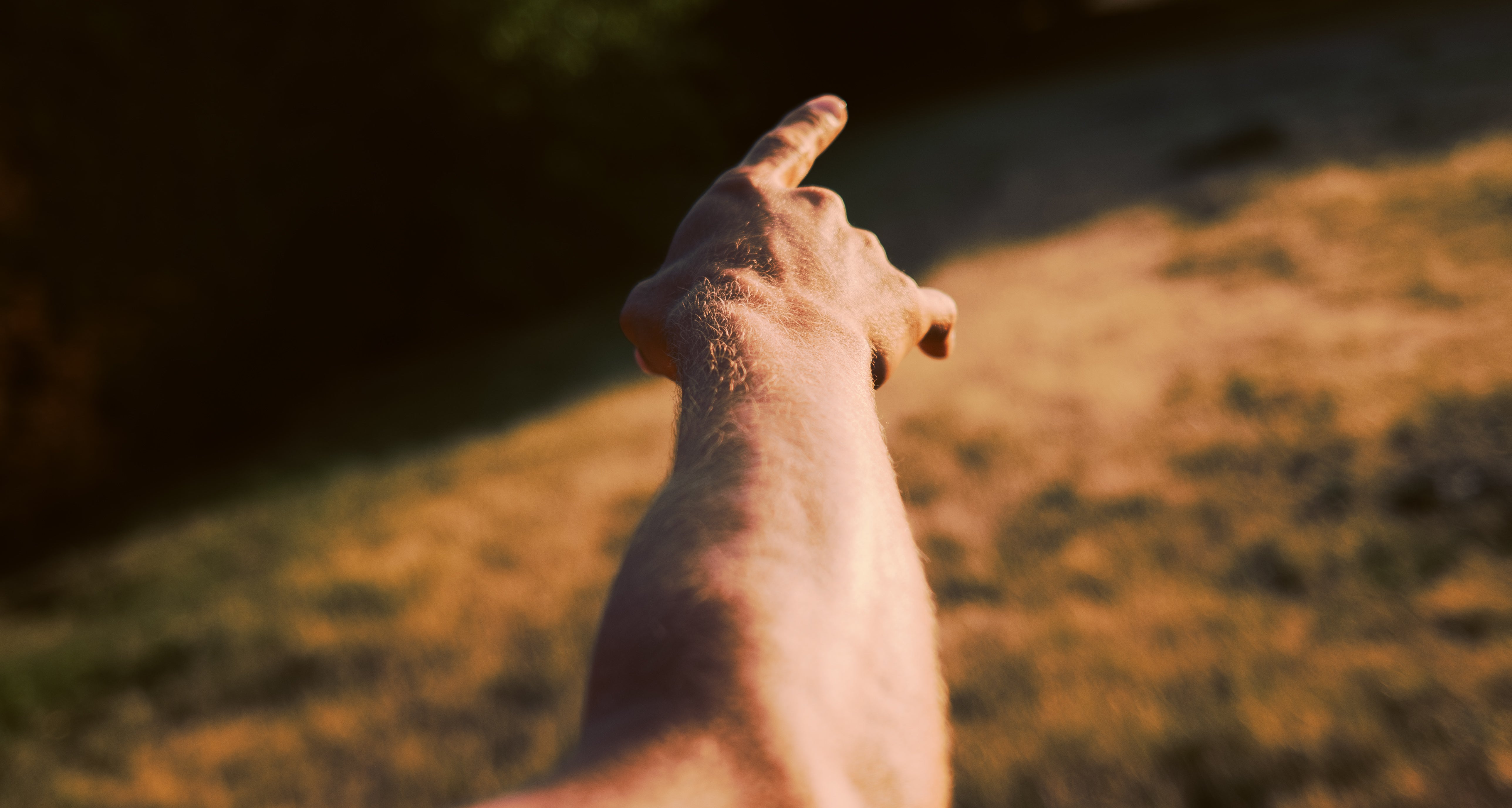 Free Human — comunidad